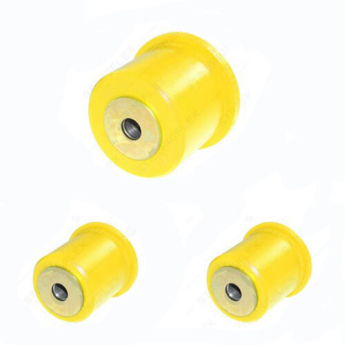 Tagumise esiõõtsa sisemine puks