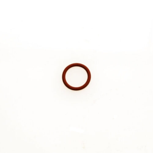 WG Valve Guide O Ring