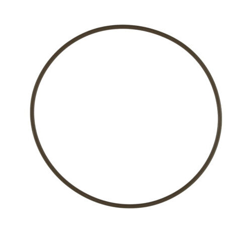 WG60 Actuator Cap O-Ring